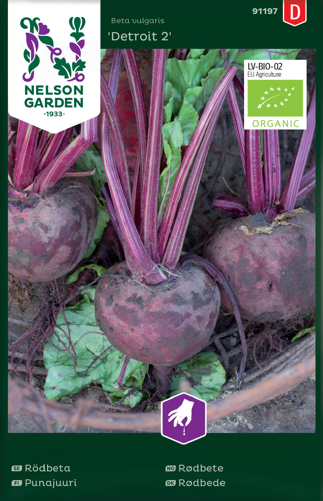 Rødbete 'Detroit 2'